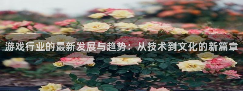 杜邦娱乐平台注册开户：游戏行业的最新发展与趋势：从技术到文化