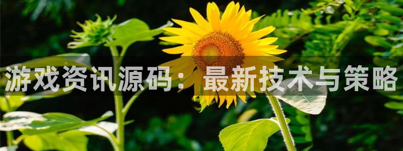 杜邦娱乐下载：游戏资讯源码：最新技术与策略