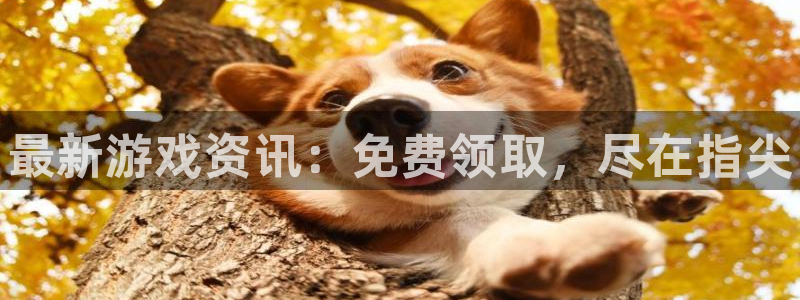 杜邦娱乐手机网页版登录：最新游戏资讯：免费领取，尽在指尖