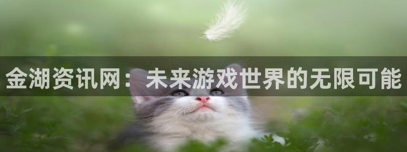 杜邦娱乐测速登陆：金湖资讯网：未来游戏世界的无限可能