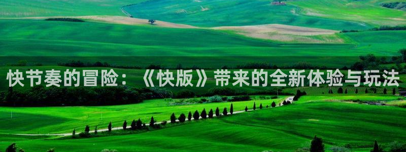 杜邦娱乐注册平台：快节奏的冒险：《快版》带来的全新体验与玩法