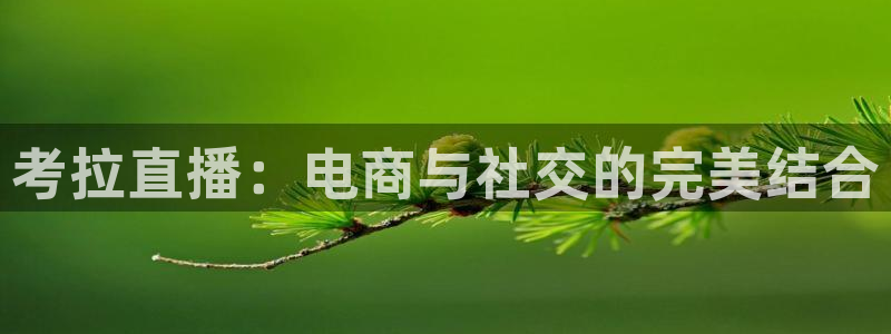 178zb8直播体育足球：考拉直播：电商与社交的完美结合