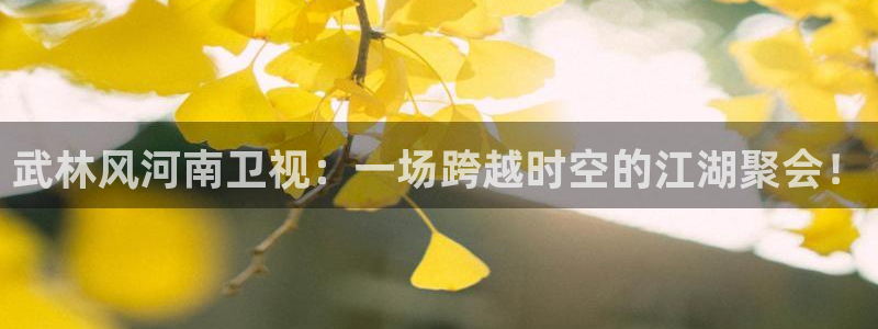 178体育直播在线nba：武林风河南卫视：一场跨越时空的江湖聚会！