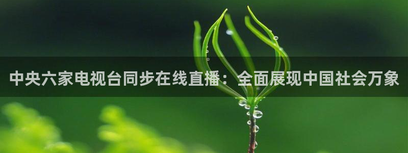 178免费直播体育：中央六家电视台同步在线直播：全面展现中国社会万象