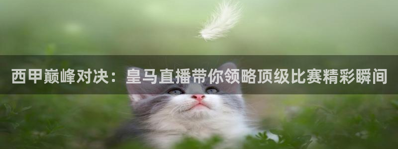178zb8直播体育足球：西甲巅峰对决：皇马直播带你领略顶级比赛精彩瞬间