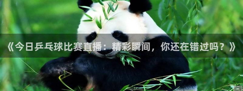 178直播体育下载：《今日乒乓球比赛直播：精彩瞬间，你还在错过吗？》