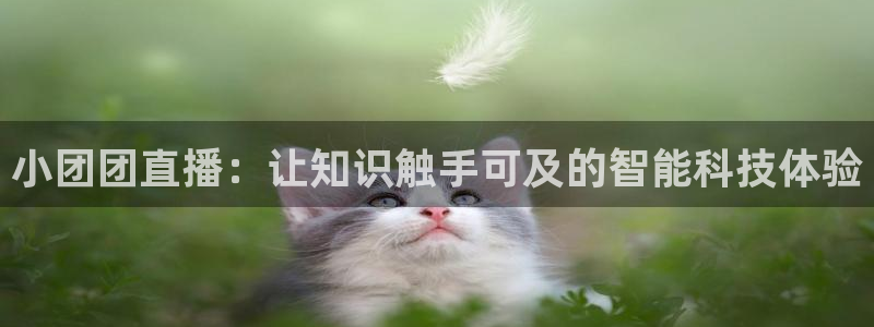 178直播体育直播：小团团直播：让知识触手可及的智能科技体验