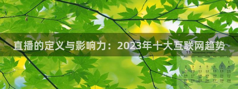 178tv直播体育：直播的定义与影响力：2023年十大互联网趋势