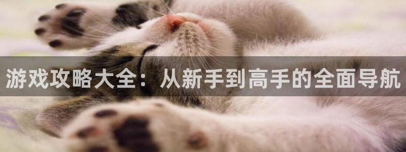 杜邦娱乐网页登录入口下载