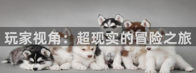 杜邦娱乐的意思