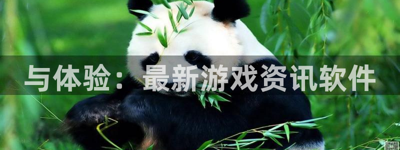 杜邦娱乐网址官网：与体验：最新游戏资讯软件
