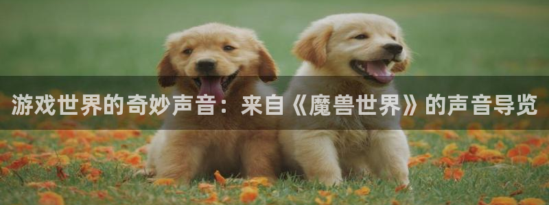 杜邦娱乐app：游戏世界的奇妙声音：来自《魔兽世界》的声音导