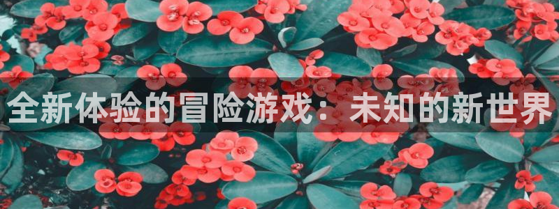杜邦娱乐线路测试：全新体验的冒险游戏：未知的新世界