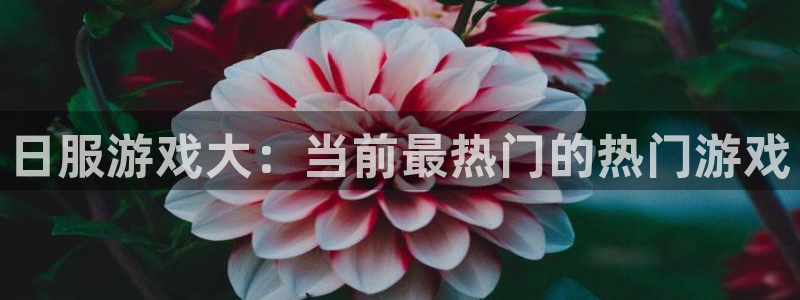 杜邦娱乐注册平台：日服游戏大：当前最热门的热门游戏